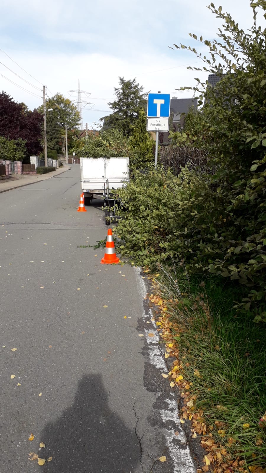 Gehweg mit Absperrkegeln an einer Hecke
